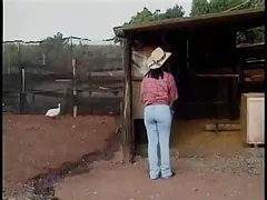 Anaalseks