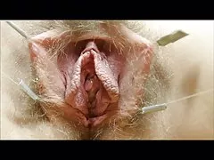 Pussies laulmine
